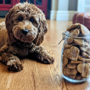 Puppy with dog treats