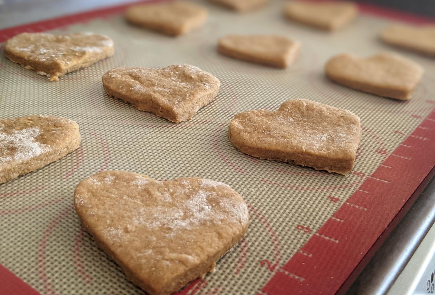 heart shaped dog cookies ready for baking on a baking sheet.