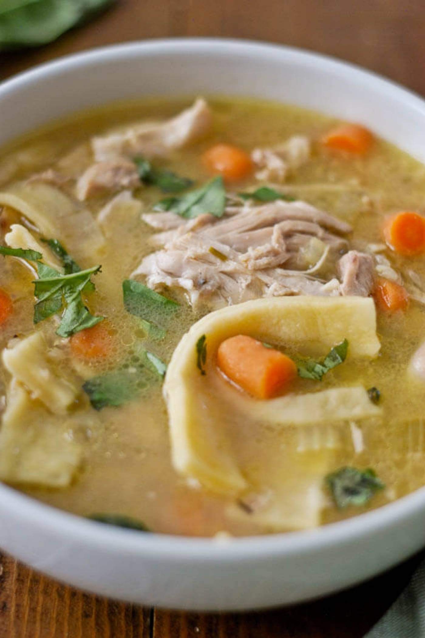 chicken noodle soup in bowl.