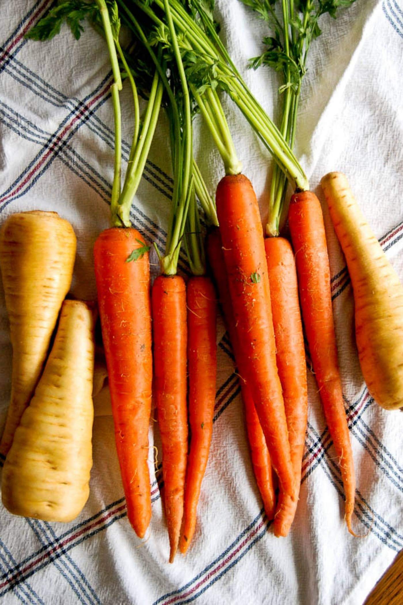 carrots and parsnips on towel.