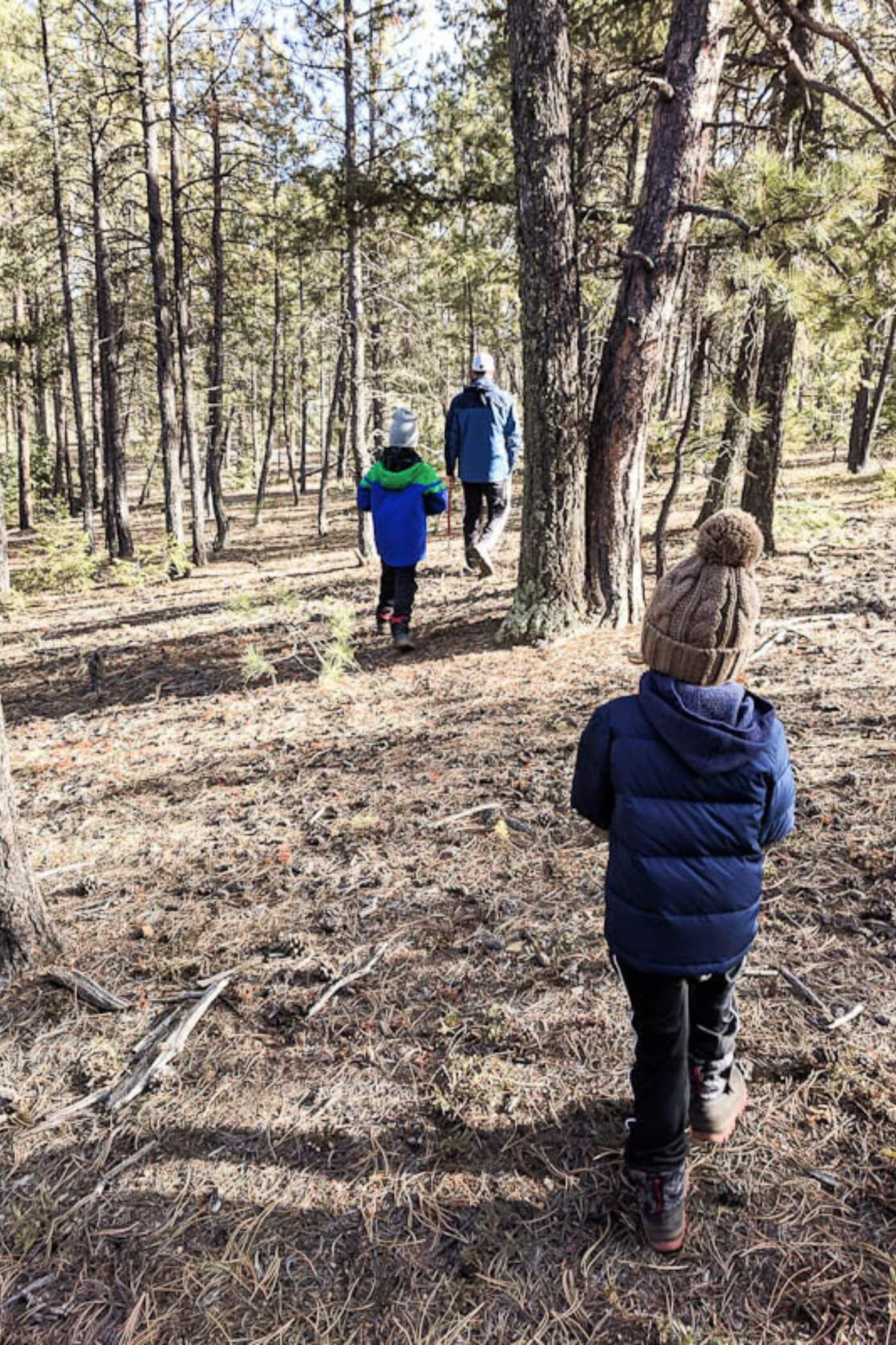 christmas tree hunting.