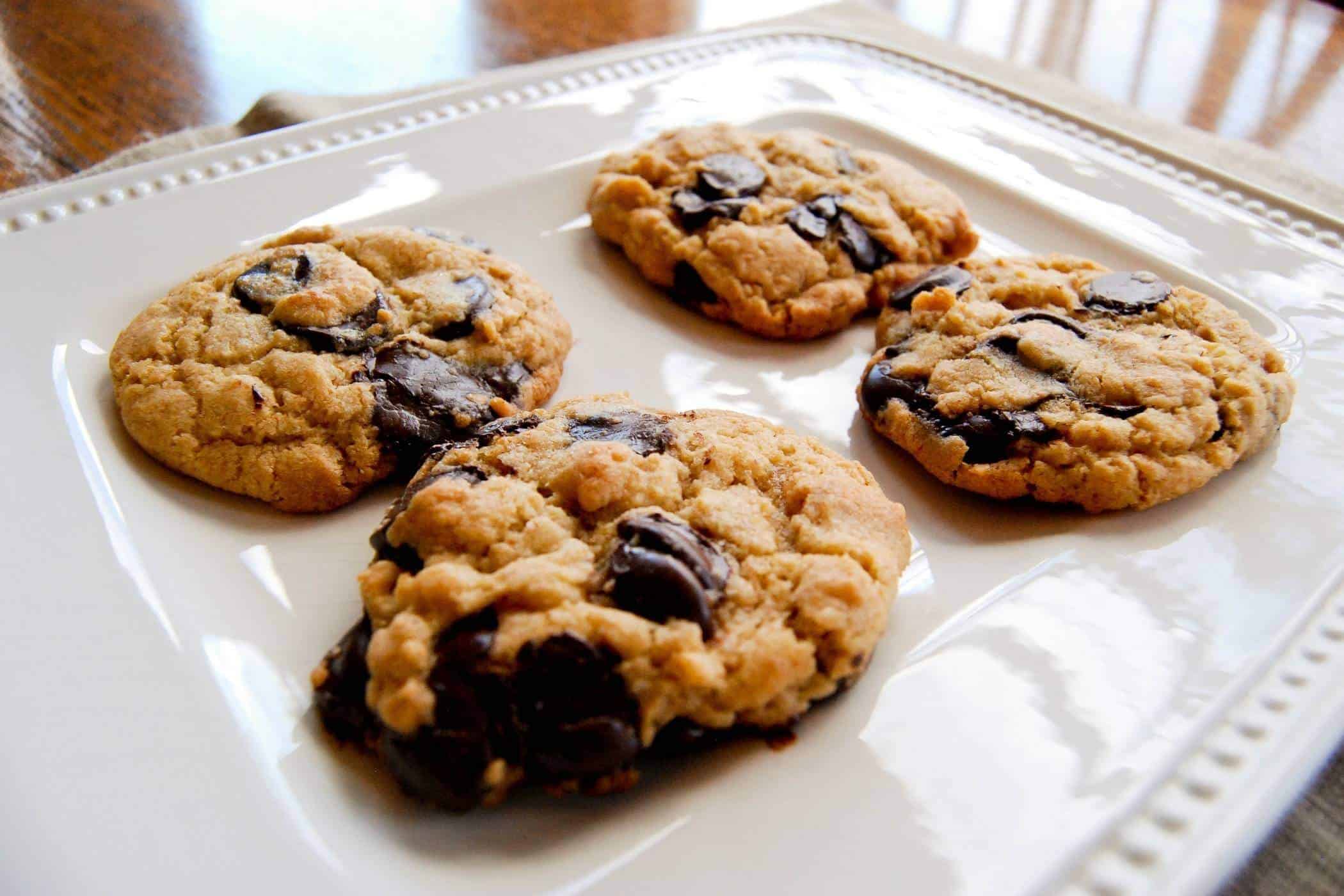 chocolate chip cookies on plate.