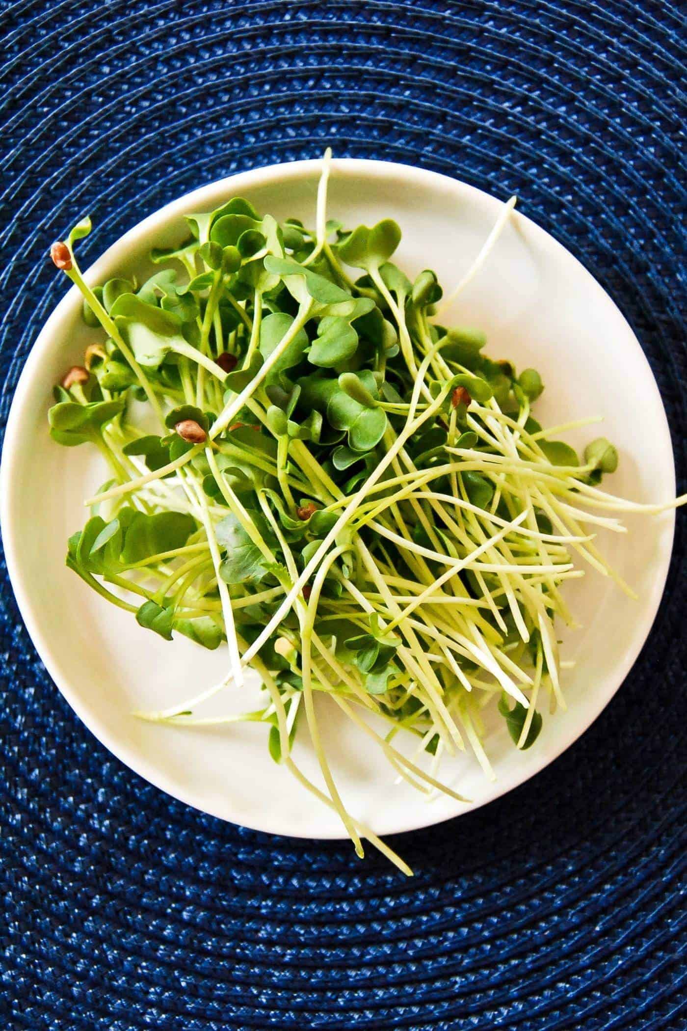 radish sprouts on plate.