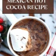 mug filled with Mexican hot cocoa, topped with a large marshmallow and chocolate shavings.