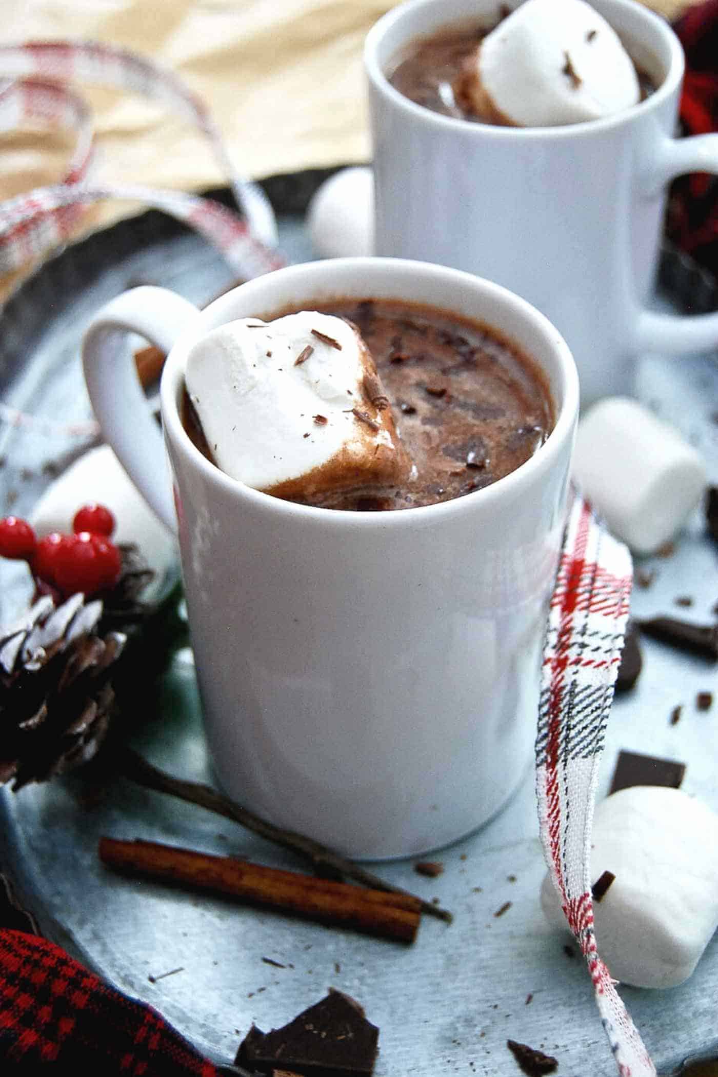 mug of hot chocolate with marsmallow.