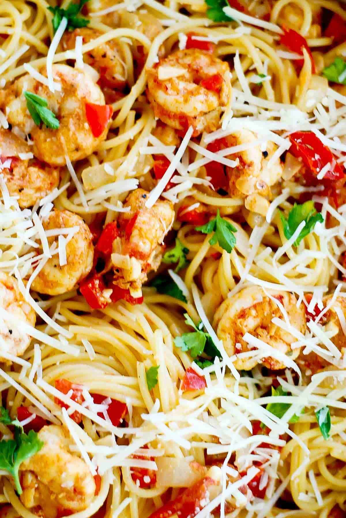 closeup of creamy shrimp pasta.