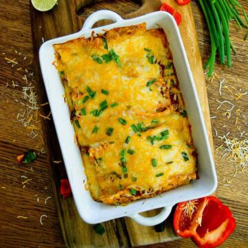 baked cheesy chicken enchiladas in baking dish.