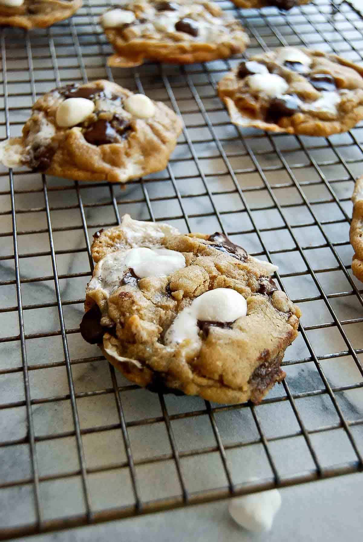 side view of chocolate chip cookies topped with marshmallows.