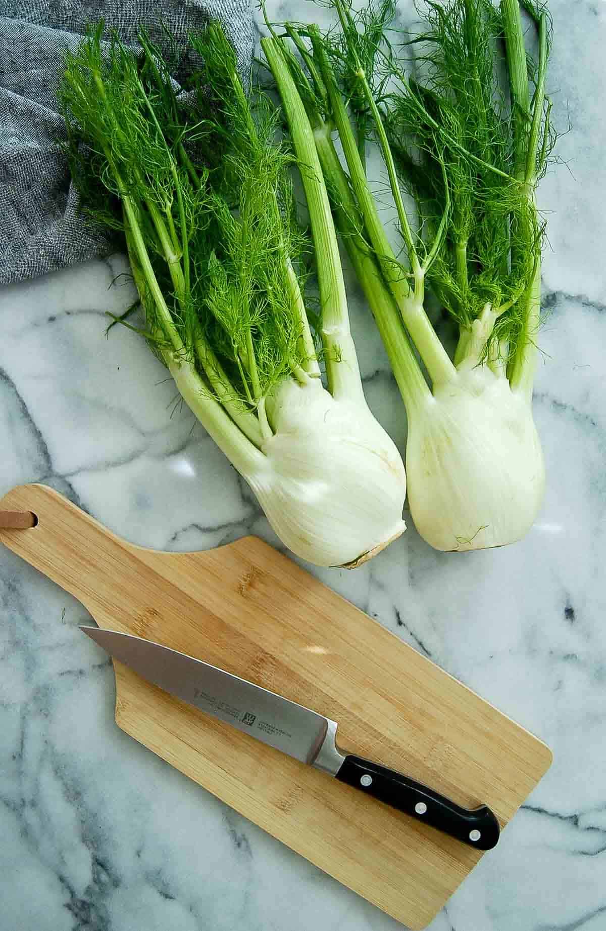 two large fennel plants.