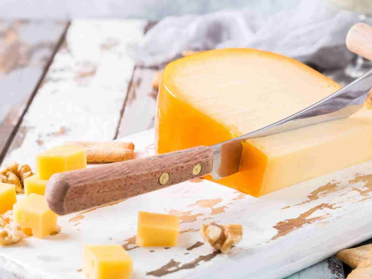 block of gouda cheese on cutting board being cut.