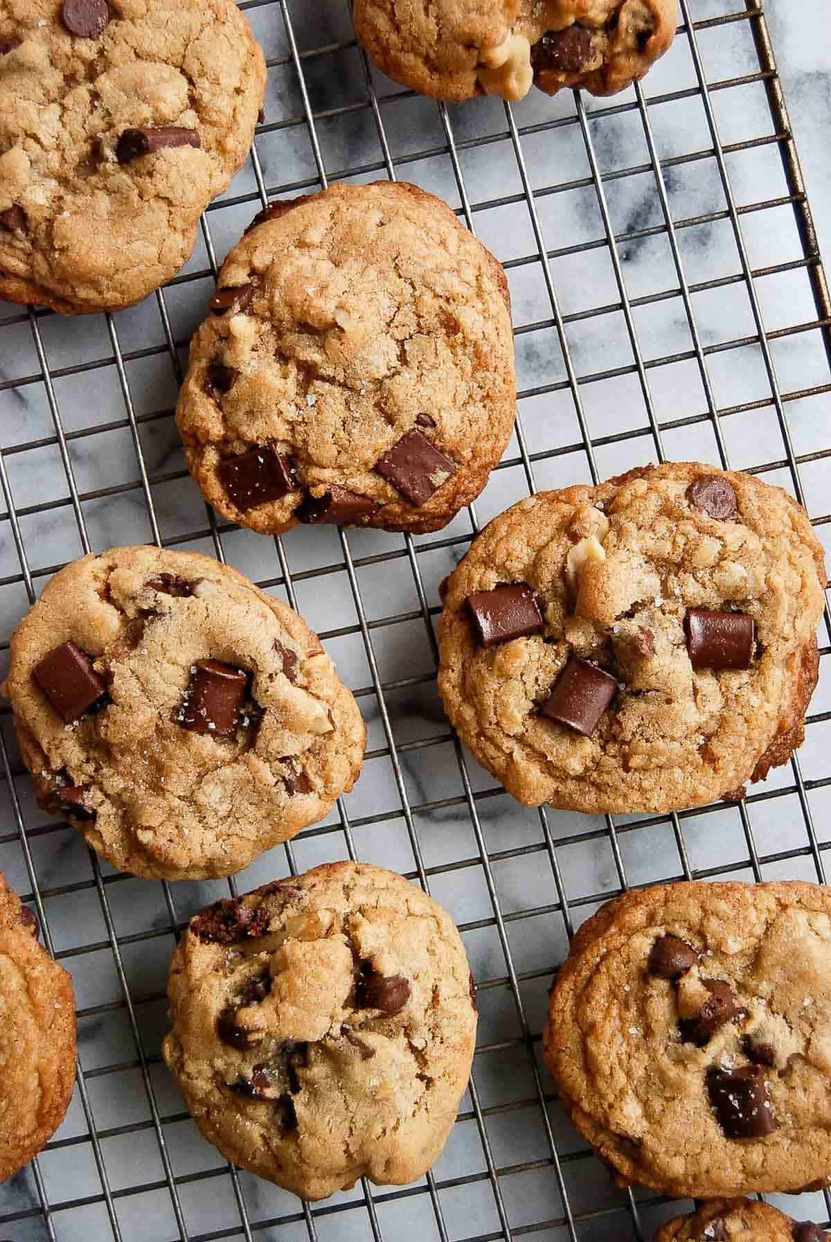baked chocolate chip walnut cookies on cooking rack.