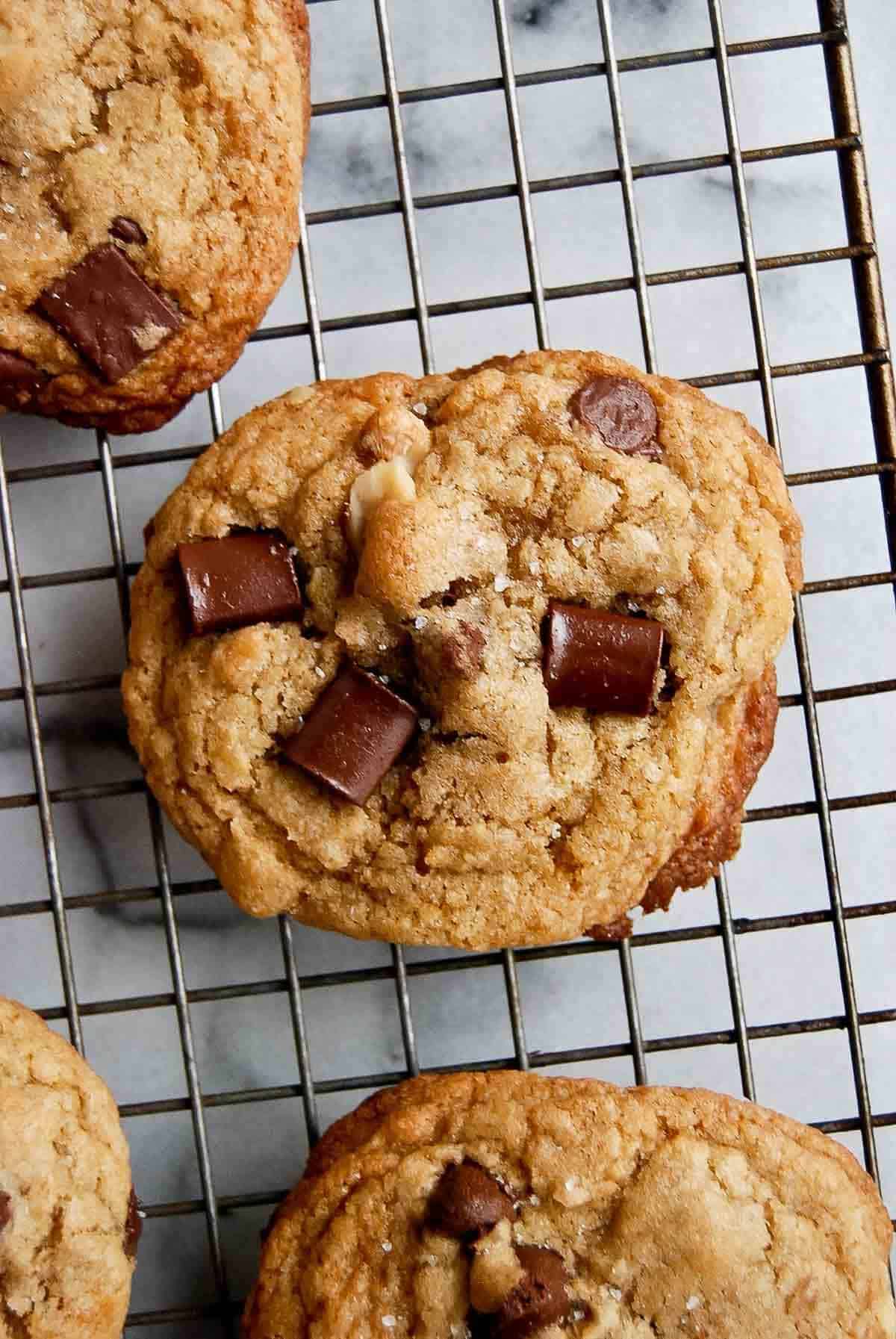 close up of chocolate chip walnut cookie.