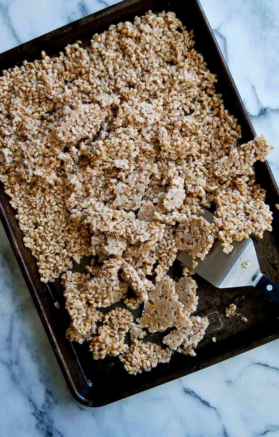 frozen cooked farro on baking sheet, being broken up with turner.