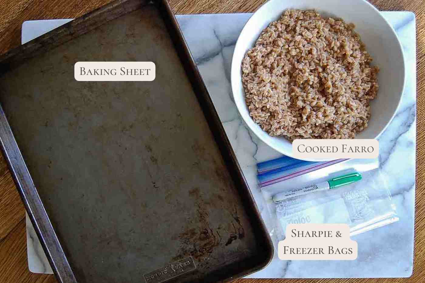 equipment for freezing cooked farro.
