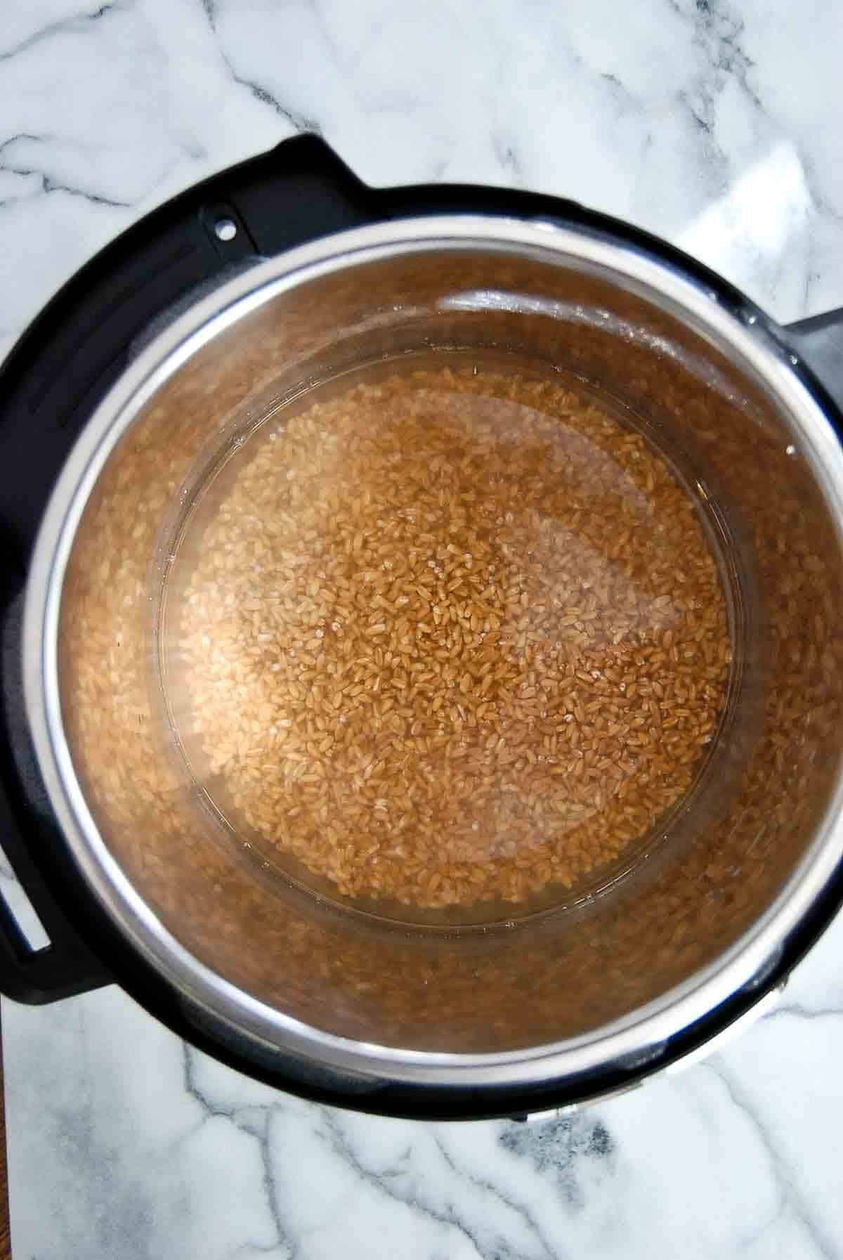 farro and water inside instant pot.