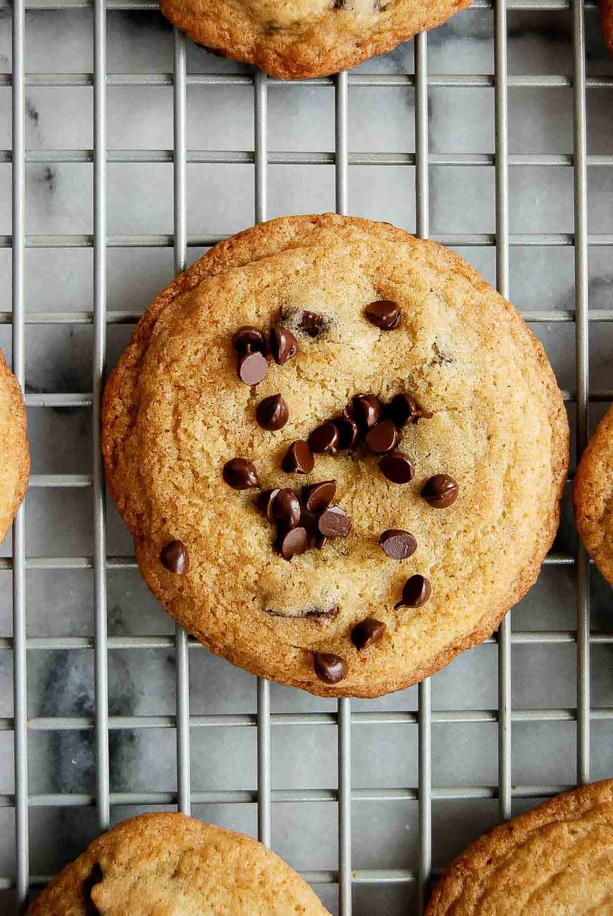 closeup of chocolate chip cookie on cooling rack.