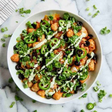 loaded tater tots in bowl on countertop.
