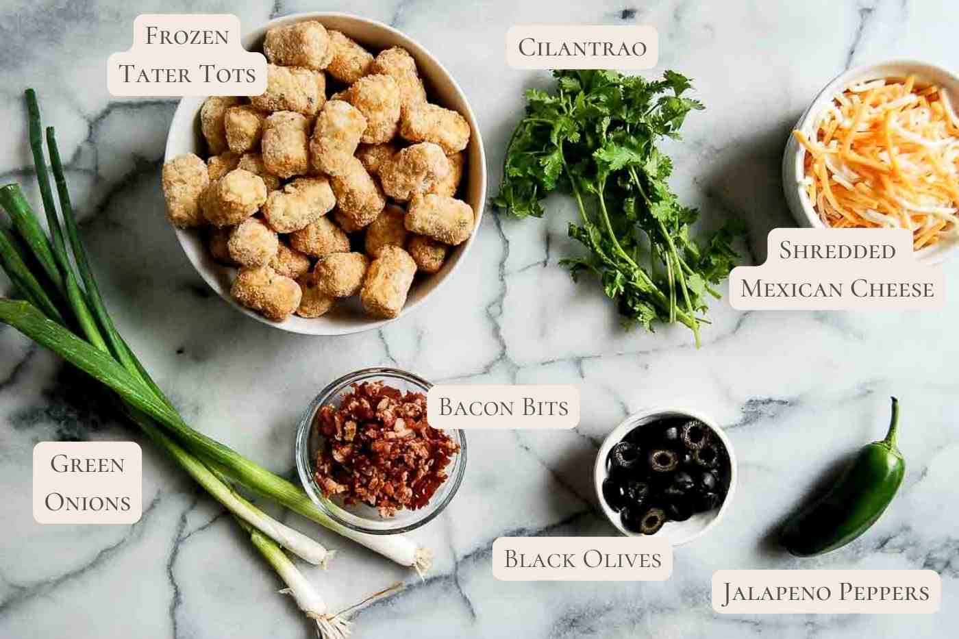 ingredients for loaded tater tots on countertop, labeled.