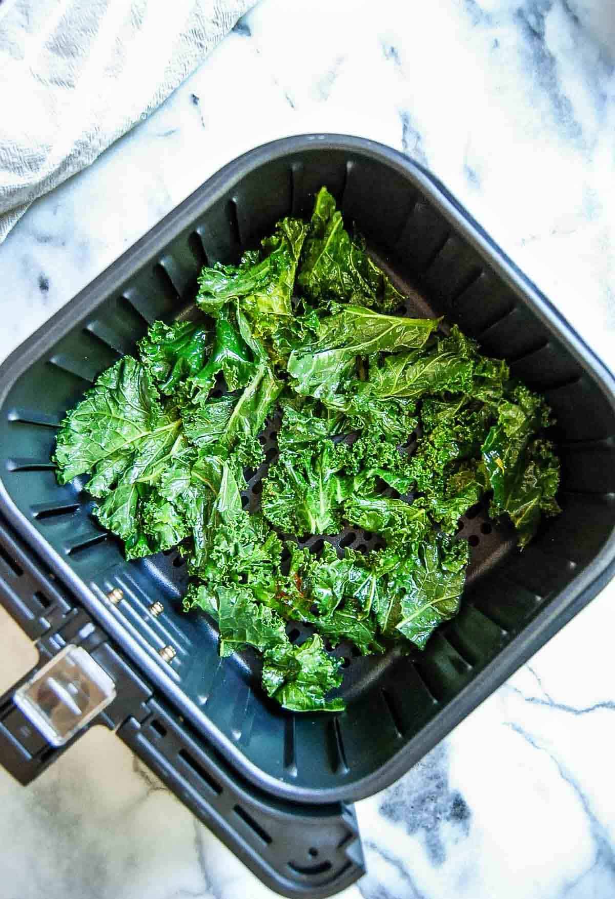 raw kale pieces in air fryer basket on countertop.