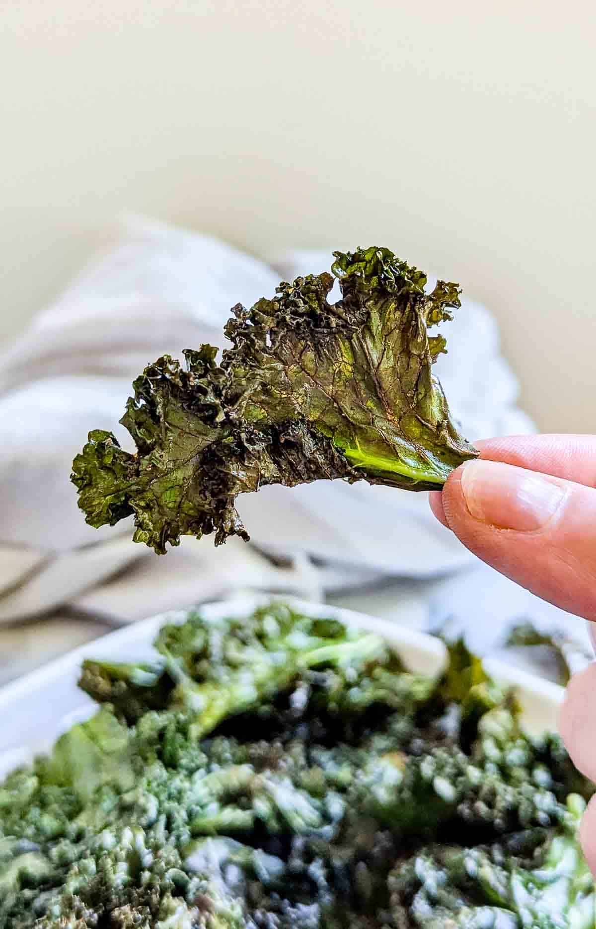 hand holding one air fried kale chip.