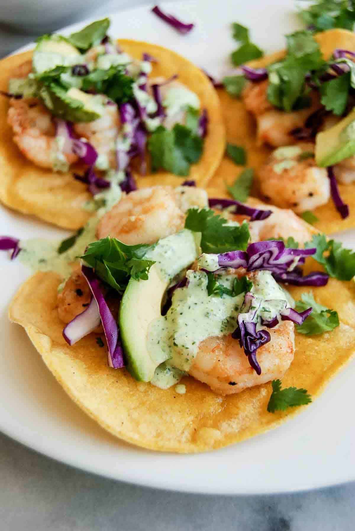 side view of shrimp tostadas with avocado, red cabbage, cilantro and cilantro lime sauce.