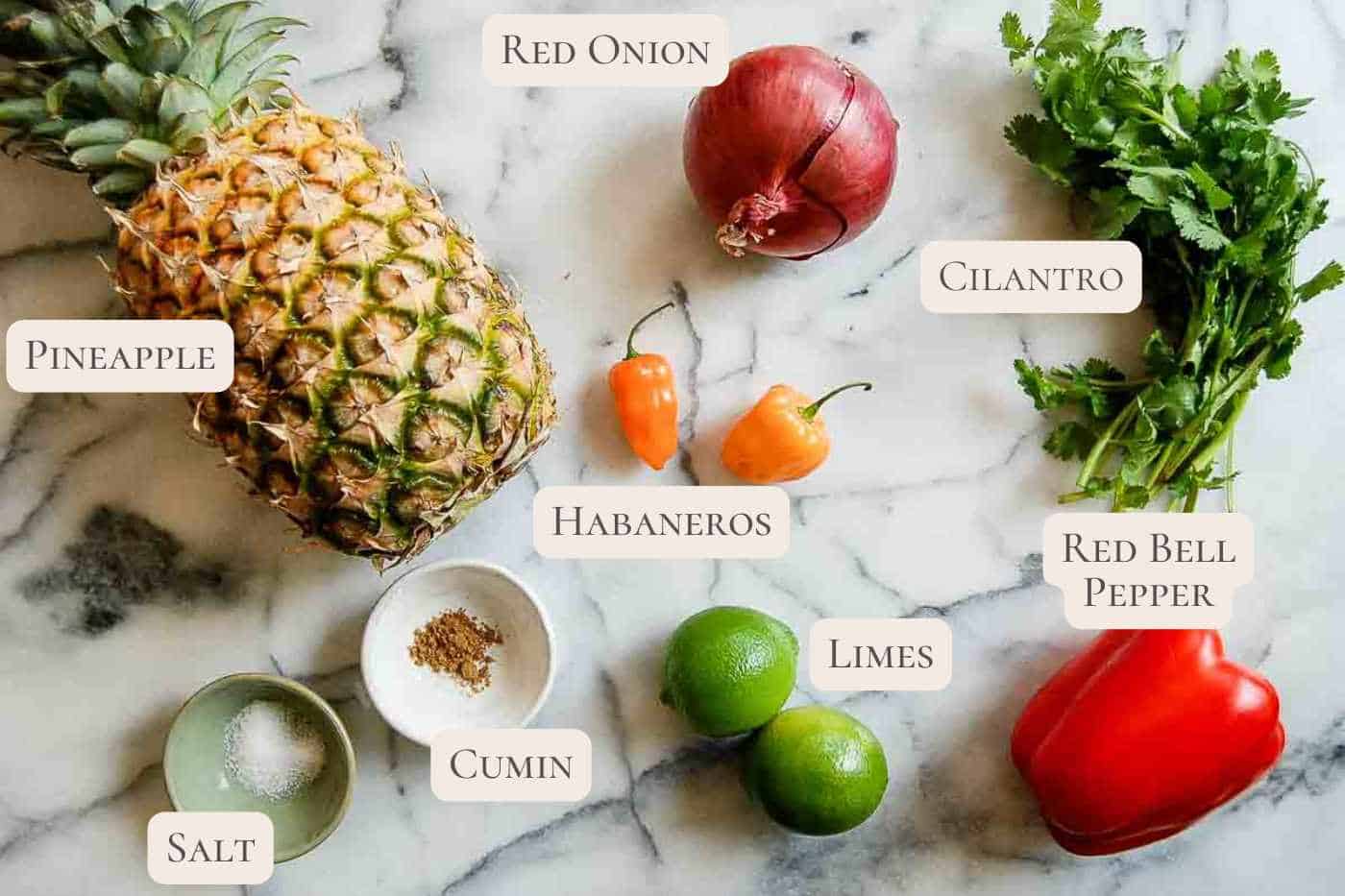 labeled ingredients for pineapple habanero salsa on countertop.