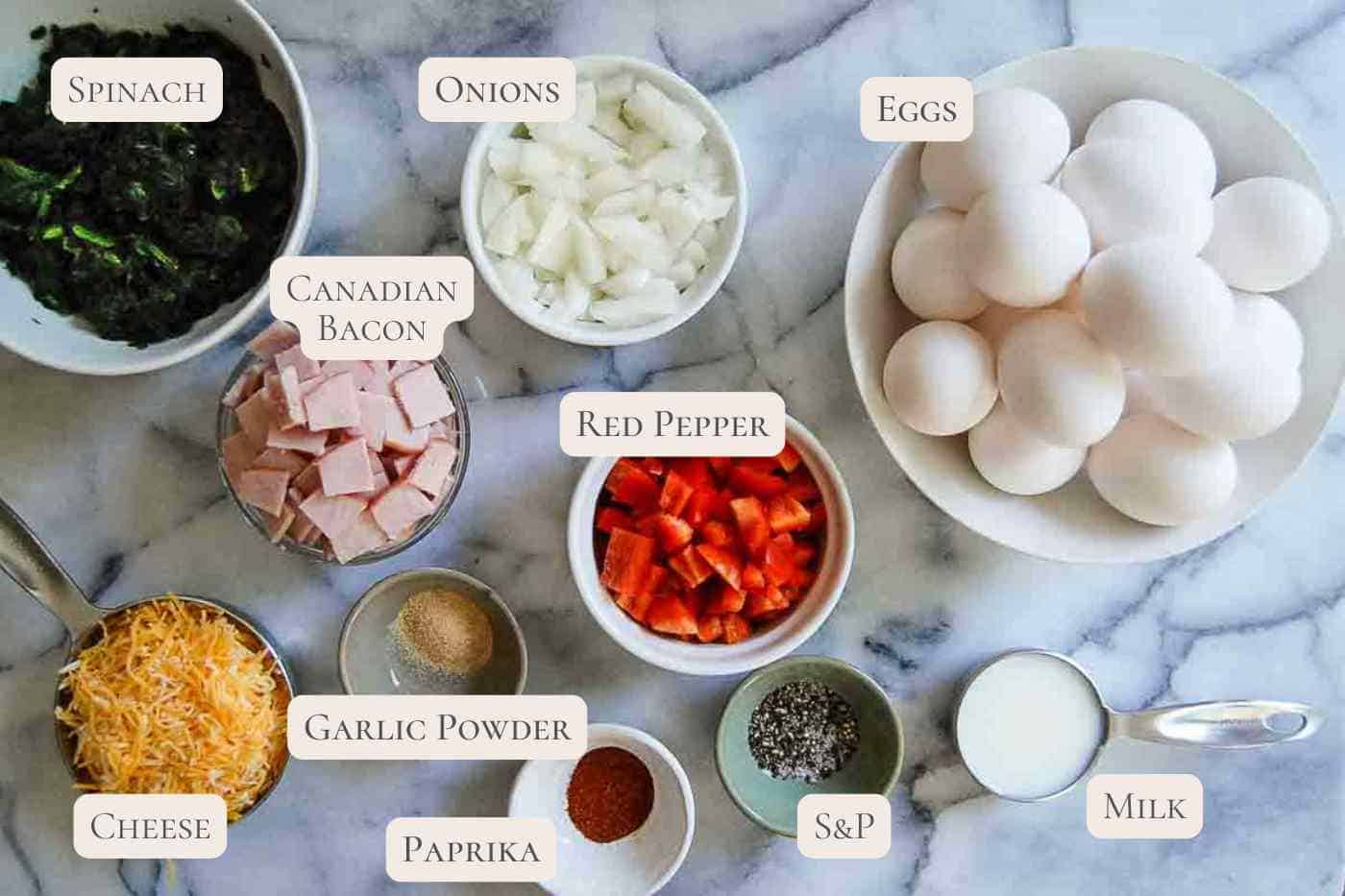 A top-down view of labeled ingredients for an egg bake, including bowls of spinach, diced onions, whole eggs, cubed Canadian bacon, chopped red pepper, shredded cheese, garlic powder, paprika, salt & pepper, and milk.