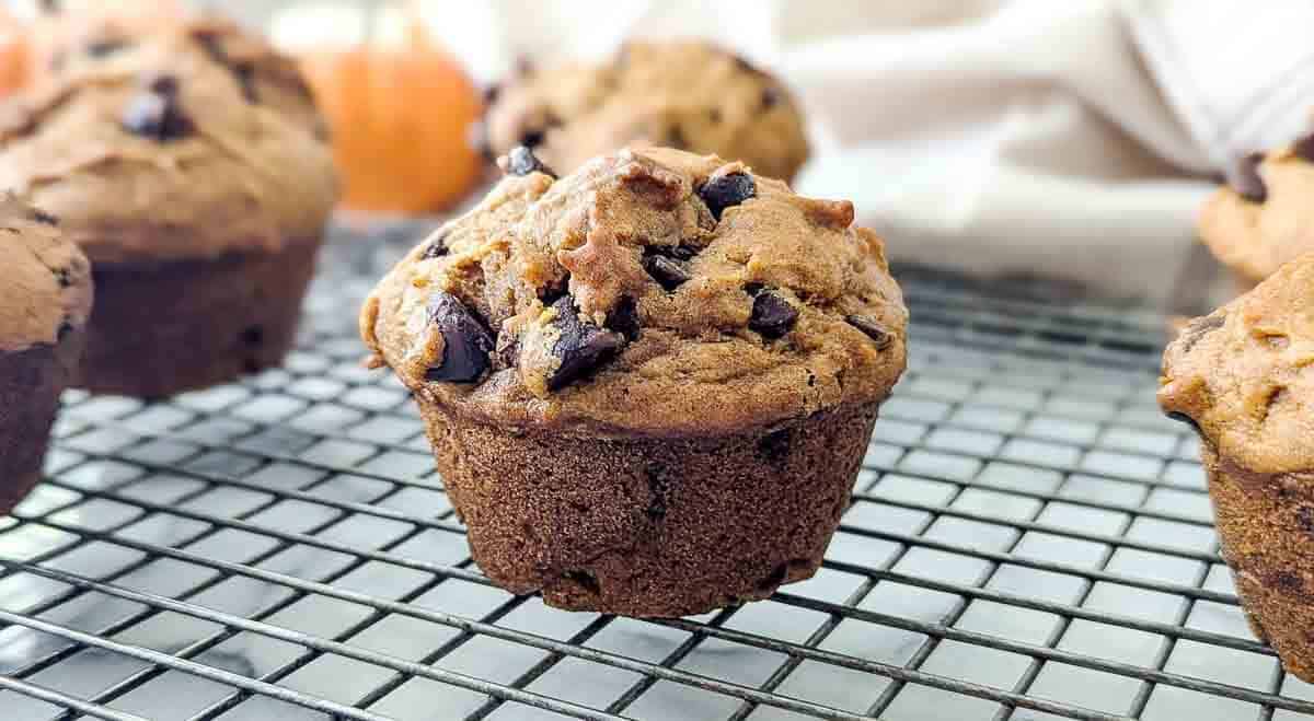 A close-up of a pumpkin chocolate chip muffin on a cooling rack, with other muffins and a small pumpkin blurred in the background.