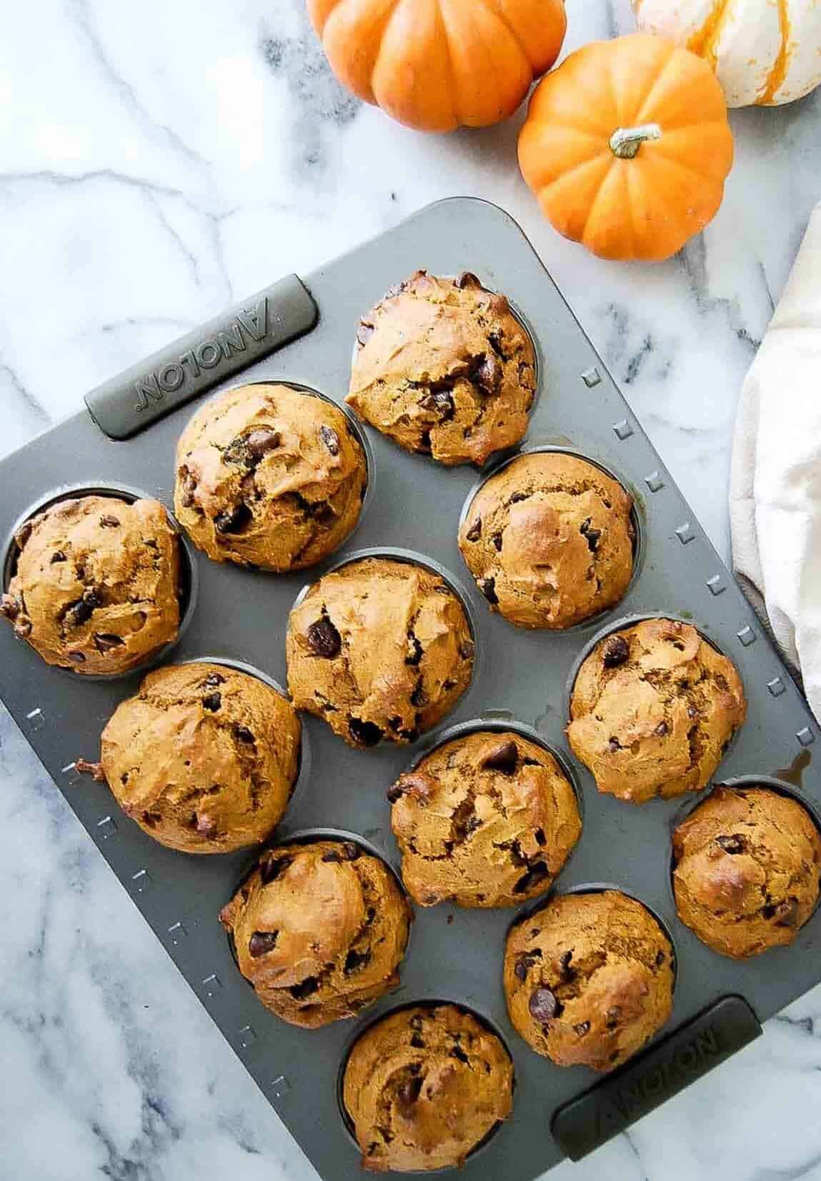 A muffin pan with twelve pumpkin chocolate chip muffins sits on a marble surface, with three small decorative pumpkins nearby.