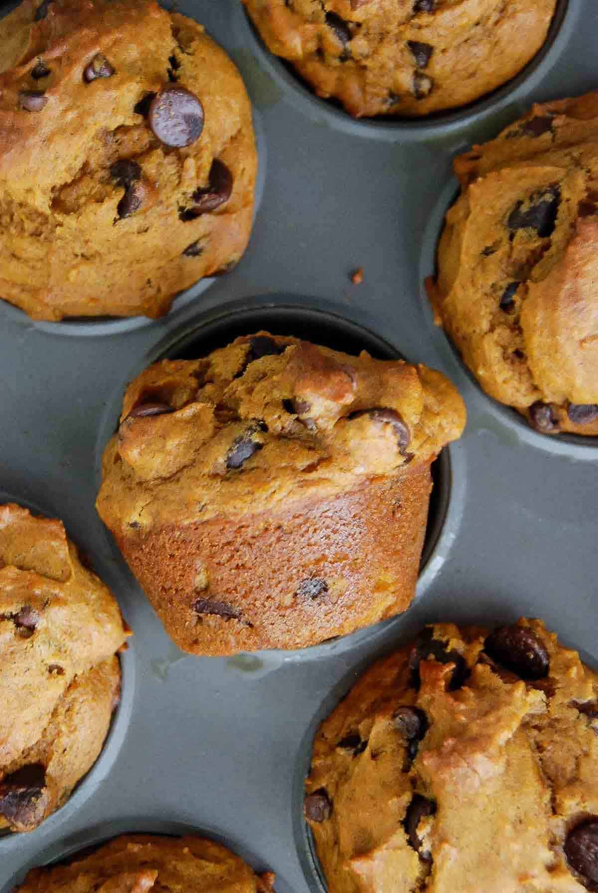 Close-up of freshly baked pumpkin chocolate chip muffins in a muffin tin, with golden-brown tops and visible chocolate chips.