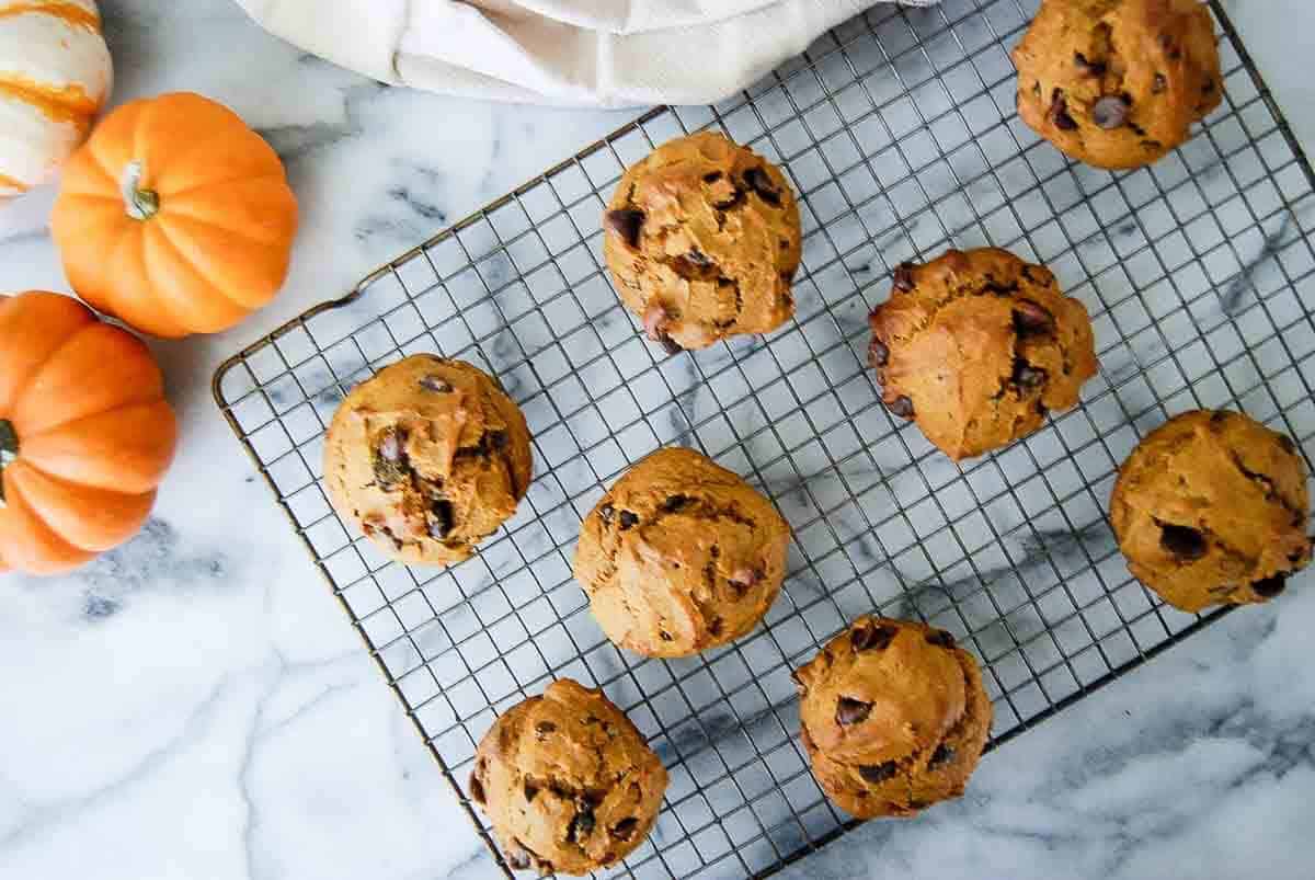 pumpkin Chocolate chip muffins are cooling on a wire rack placed on a marble surface, with small decorative pumpkins and a beige cloth nearby.