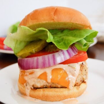 A close-up of a chicken burger with cheddar cheese, lettuce, tomato, red onion, pickles, and sauce on a bun, served on a white plate.